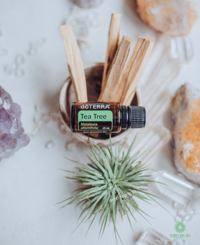 dōTERRA Tea Tree (formerly known as Melaleuca) is an excellent cleanser for the home and skin.